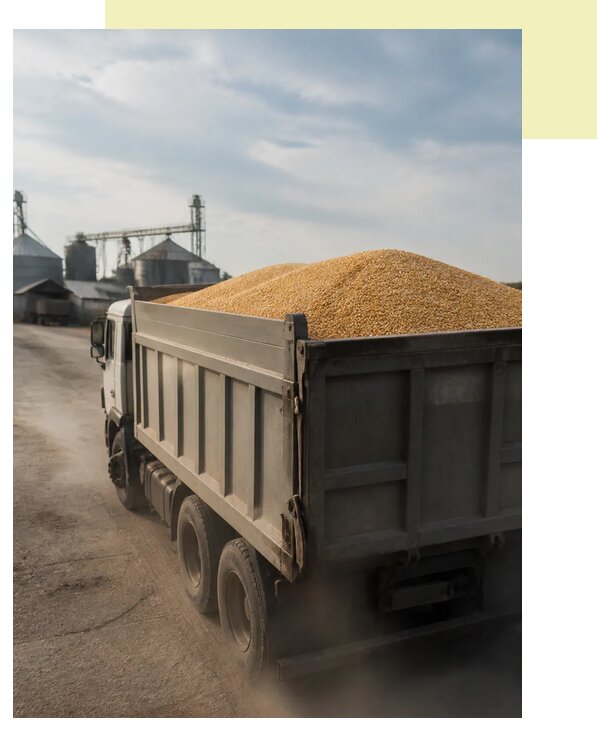 Перевозка сельхозпродукции навалом в Челябинск по цене от 3094 р. | Агросервис-Члб